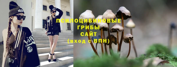 каннабис Алексеевка