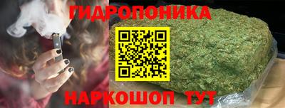 амф Аша